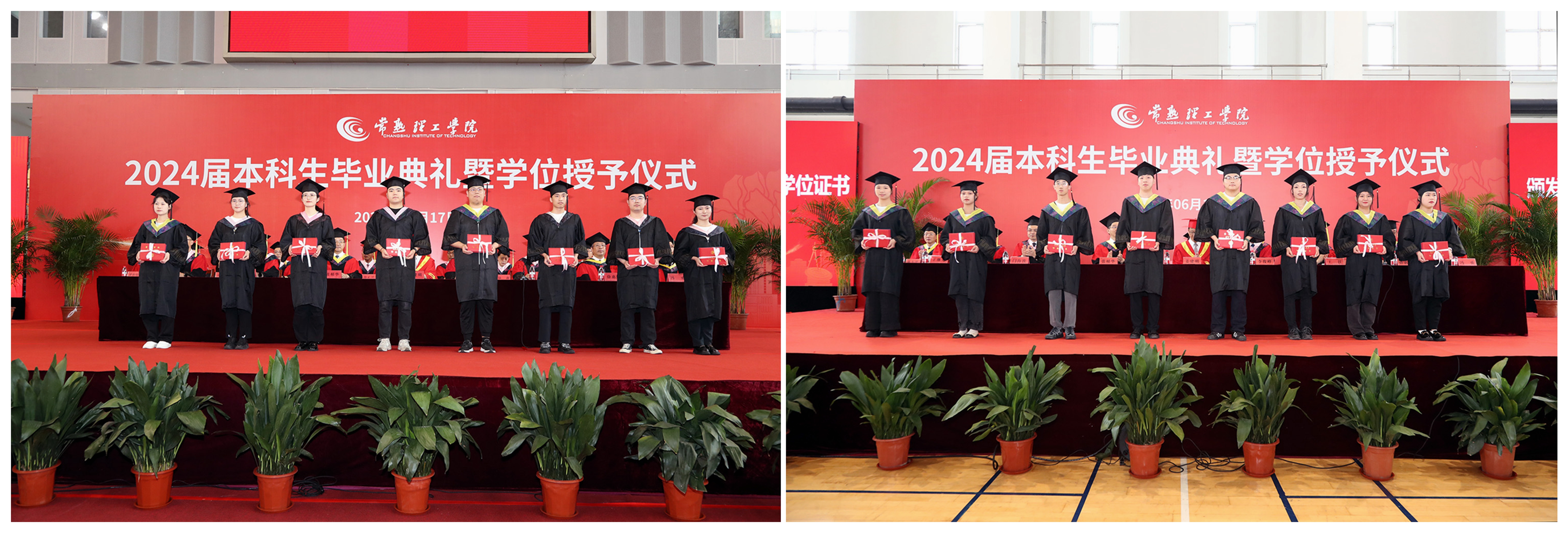 202406171718605447294012.jpg NeoImage_副本.jpg